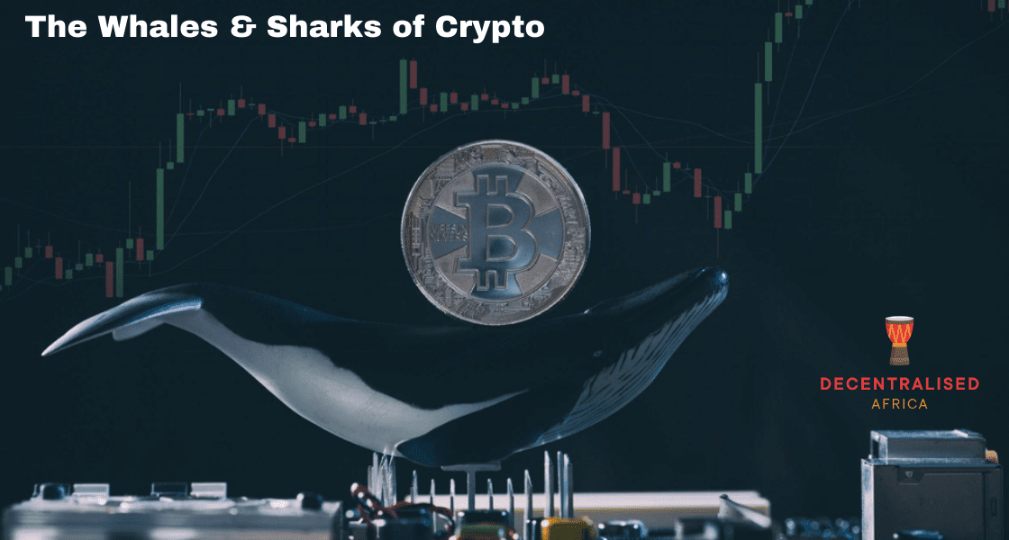 What are crypto whales or sharks?