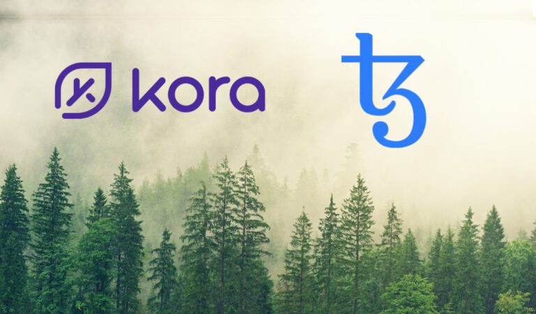 Tezos_Kora_1666103863Qbw131BkuH