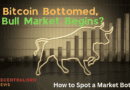 Bitcoin Bottomed, Bull Market Begins? How to Analyse Market Cycles