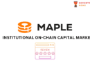 Maple Finance Review