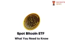 Price Implications of a Spot Bitcoin ETF Approval in the USA