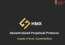HMX – Decentralized Perpetual Exchange Review