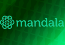 Mandala Exchange Review