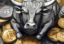 Evaluating Crypto Tokens for Bull Market Success