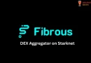 Fibrous DeFi Aggregator on Starknet Review