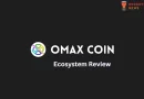 OMAX Blockchain & Native Currency Guide 2024