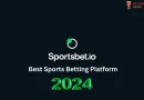Sportsbet.io Features & Functions Explained Simply