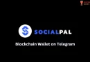 SocialPal: Blockchain Wallet with Social Media Integration