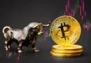 Why Bitcoin’s Bull Market May Defy Historical Patterns