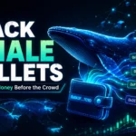 whalebanner