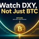 dxybanner